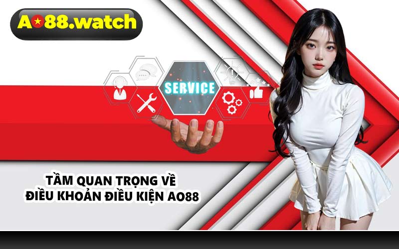 Tầm quan trọng về điều khoản điều kiện AO88