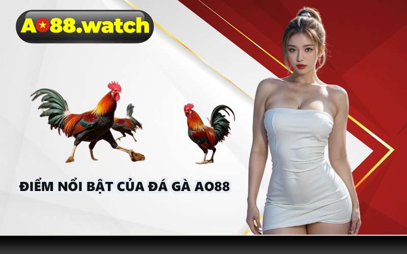 Điểm nổi bật của đá gà AO88